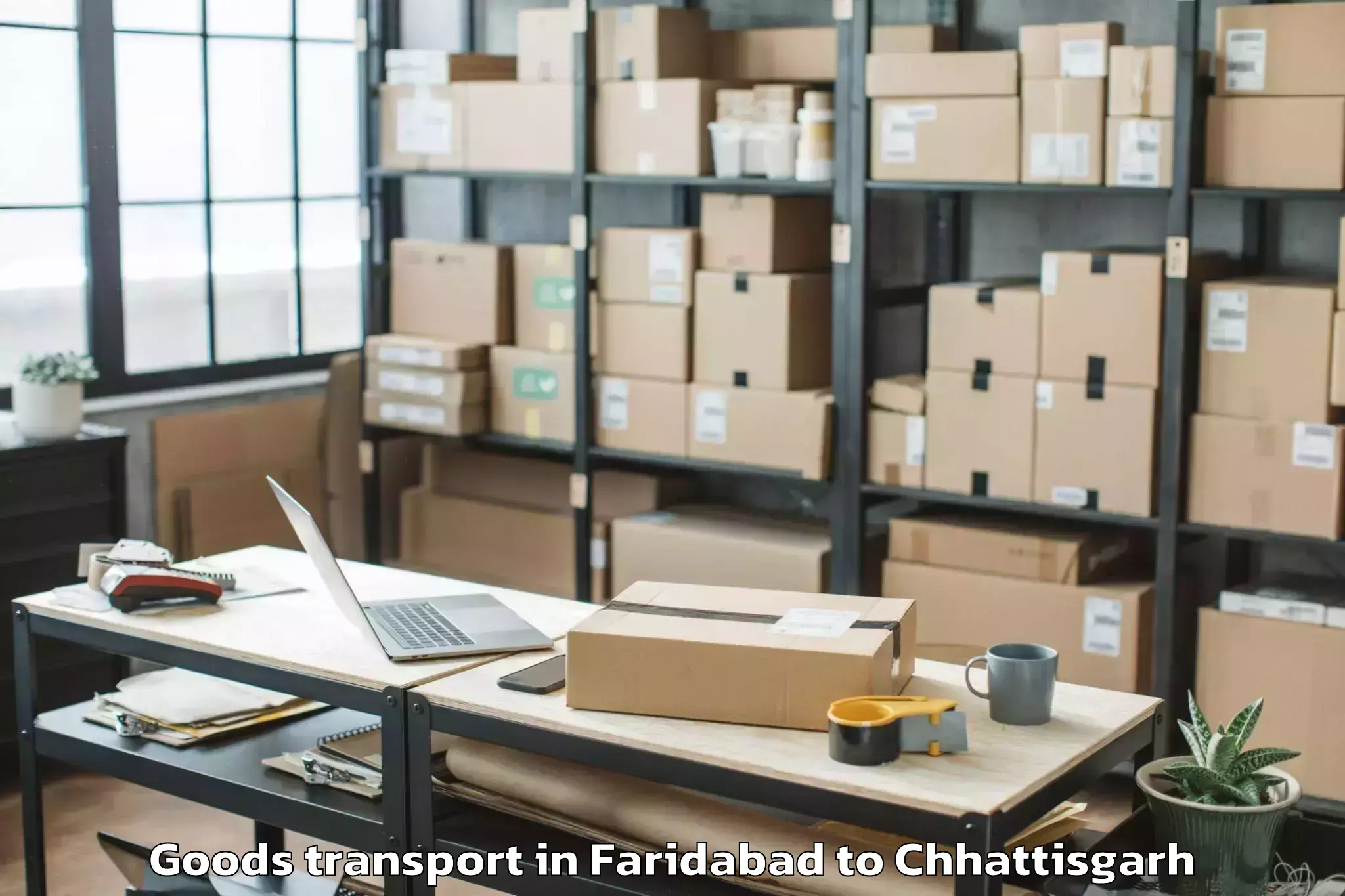 Quality Faridabad to Chakarbhatha Goods Transport